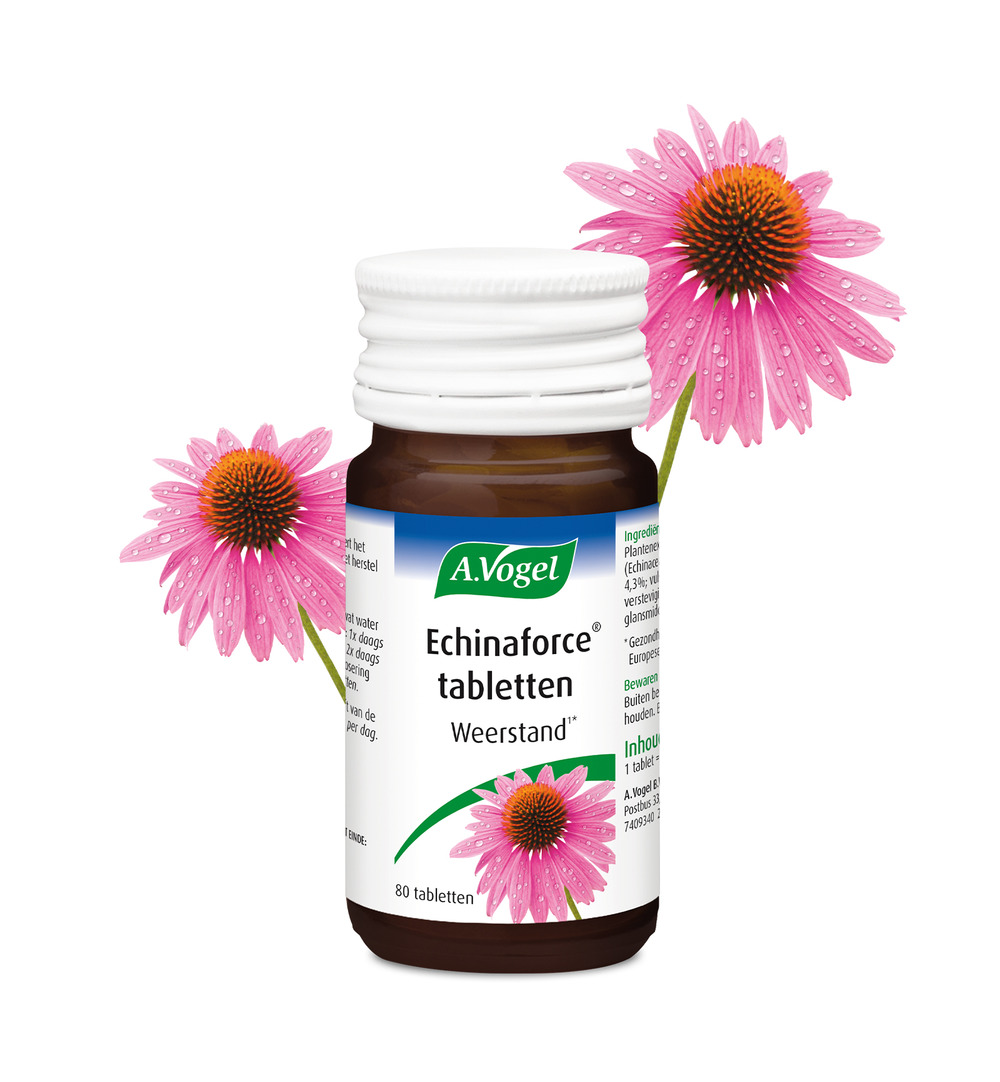 A.Vogel Echinaforce (80 Tabletten)