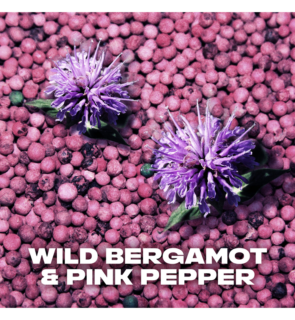 Axe Showergel fresh bergamot (250 ml) - image 5