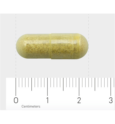 AOV 816 Quercetine extract (60 vega capsules) - image 3