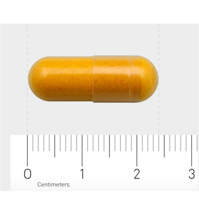 AOV 831 Curcuma longa fytosomaal (60 vega capsules) - image 3