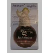 Steengoed Sterrenbeeldsteen hanger leeuw (1 stuk)