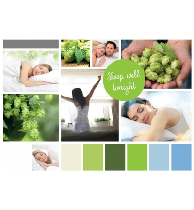 Volatile Slaapolie & Verdamper 2X4Ml (1 set)