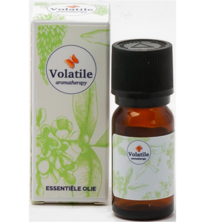 Volatile Temulawak Co2-Se Bio (5 ml)