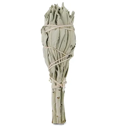 Ruben Robijn Saliebosje 12 cm (1 stuk)