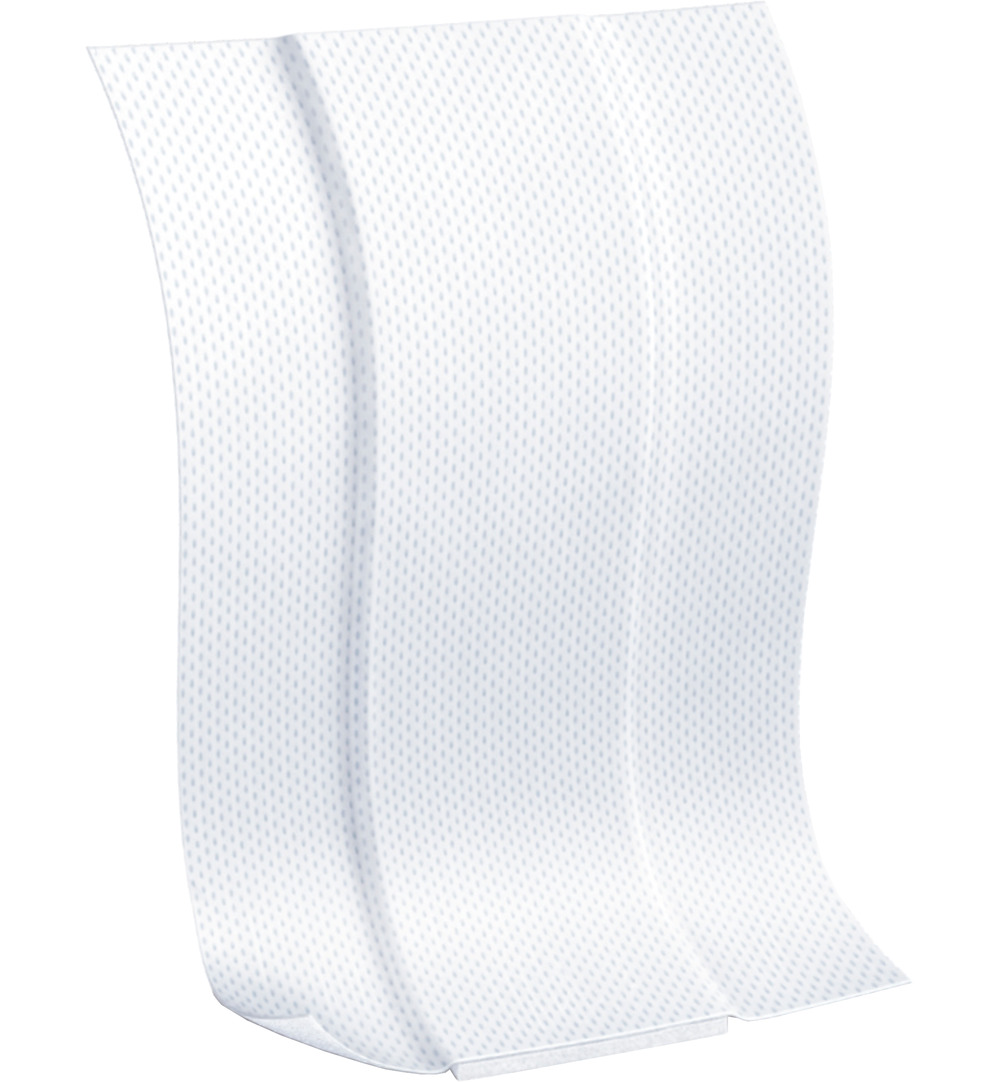 Leukoplast Soft white 6 x 10 cm (10 stuks)