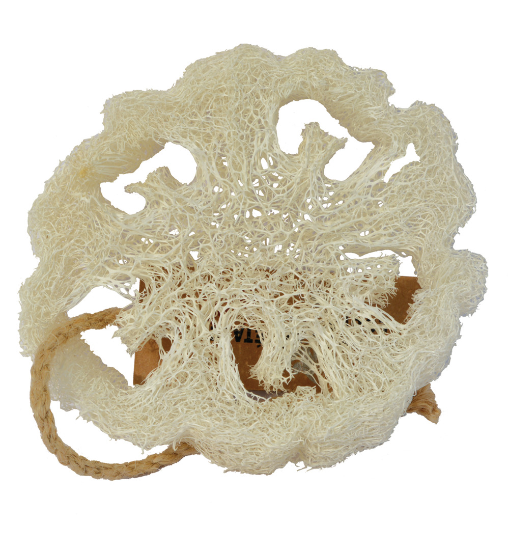 Aleppo Soap Co Loofah Natuurspons Plak (1 stuk)