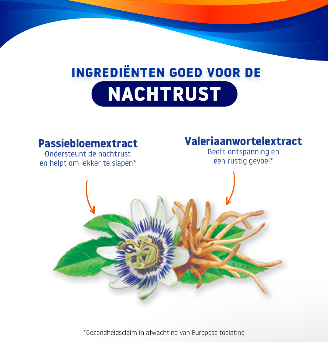 Valdispert Nacht (40 dragees) - image 3