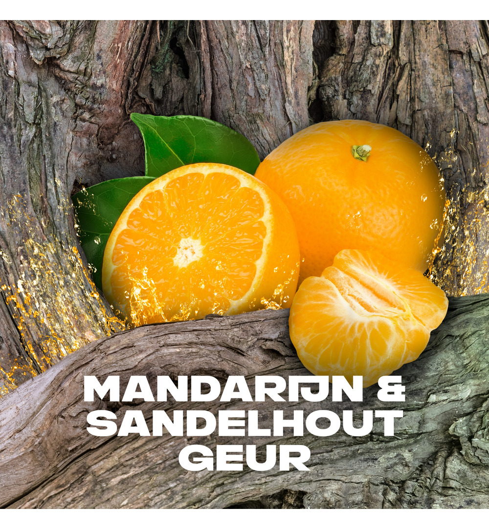 Axe Deodorant bodyspray Africa (150 ml) - image 5