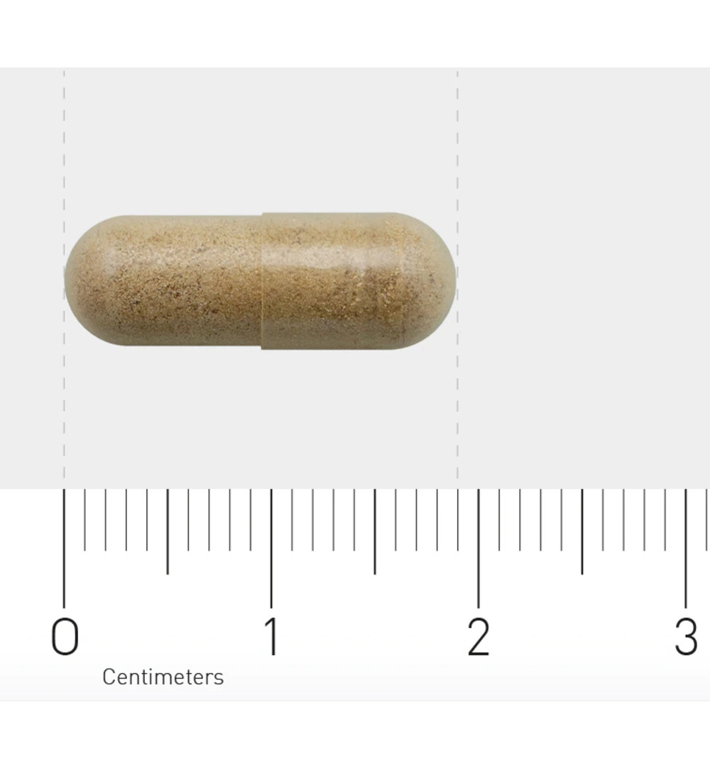 AOV 834 Bacopa (60 vega capsules) - image 3