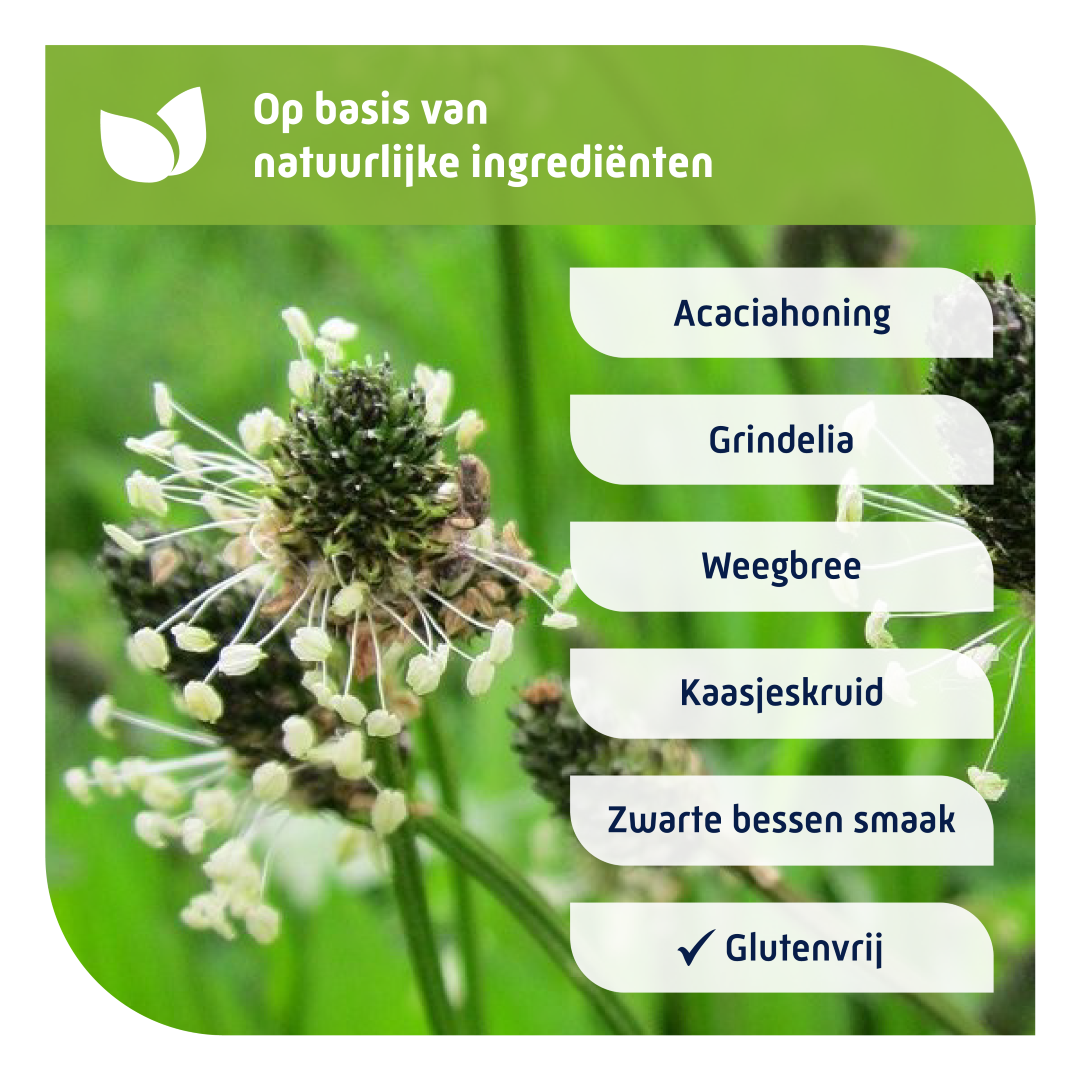 Natterman Voor alle hoest kind (180 ml) - image 3