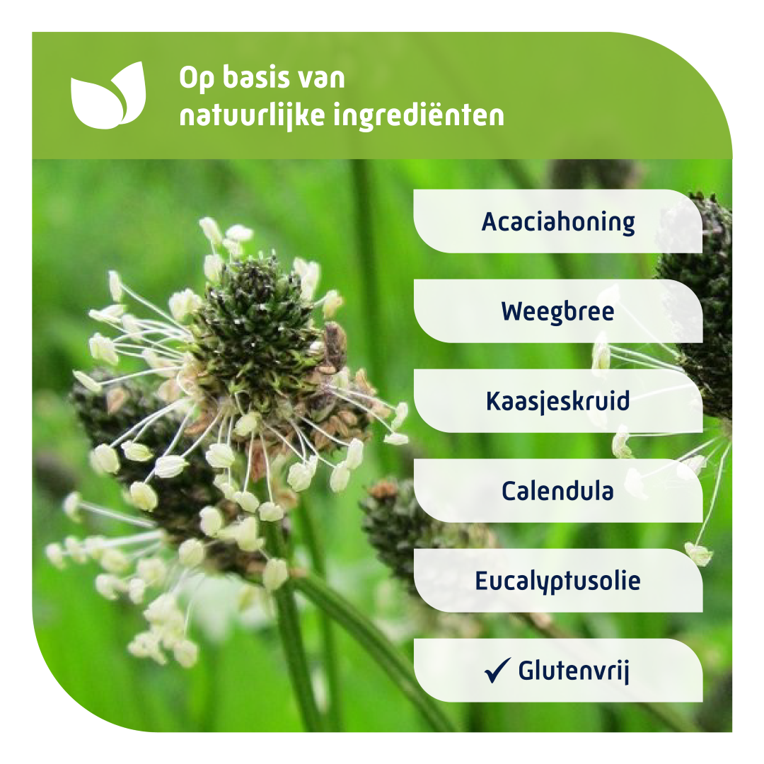 Natterman Voor alle hoest (180 ml) - image 3