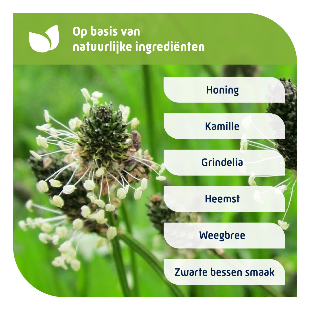 Natterman Nacht voor all hoest kids (150 ml) - image 4