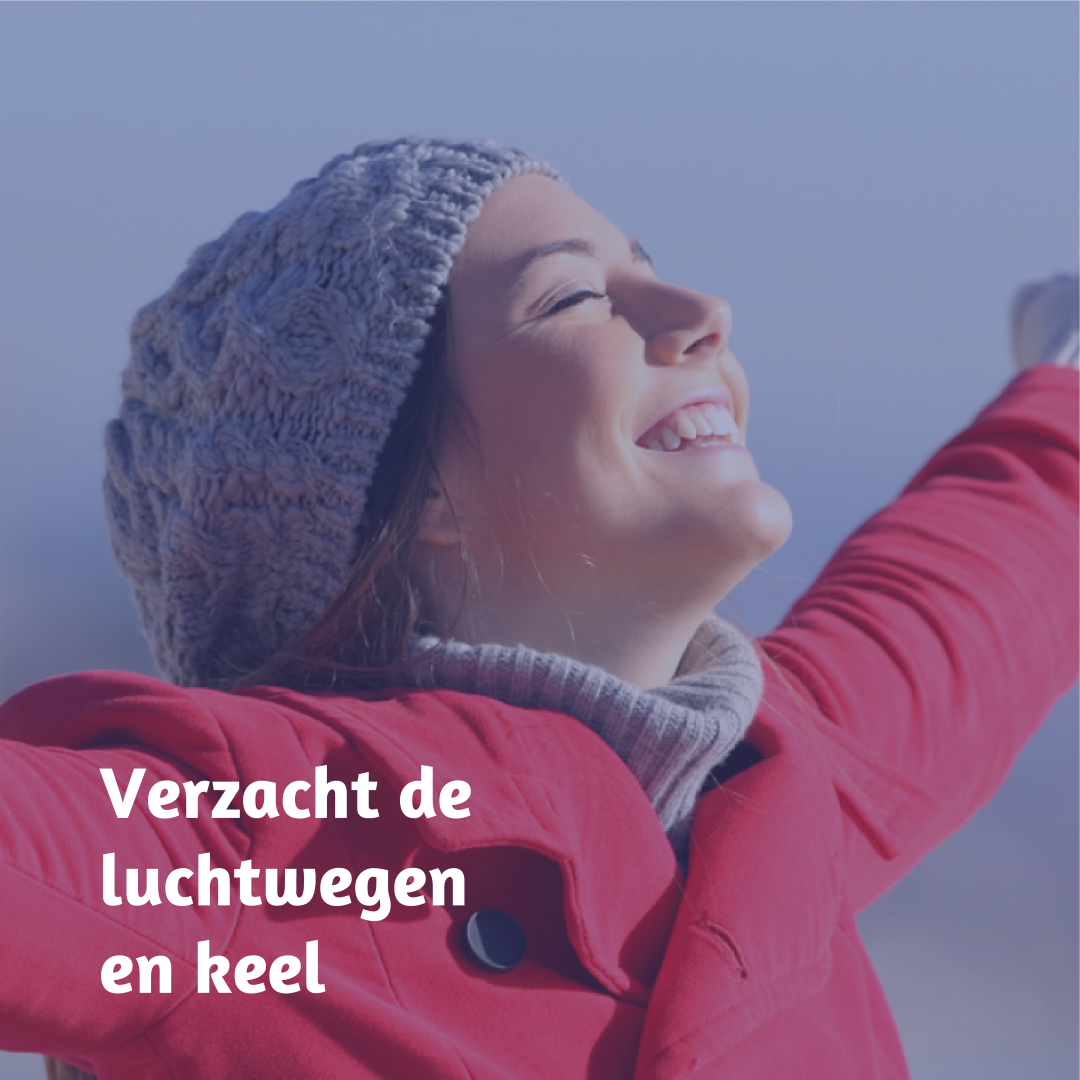 Dampo Luchtwegen pastilles (24 stuks)