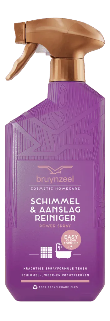 Bruynzeel Schimmel & Aanslagreiniger Powerspray (500 ml)
