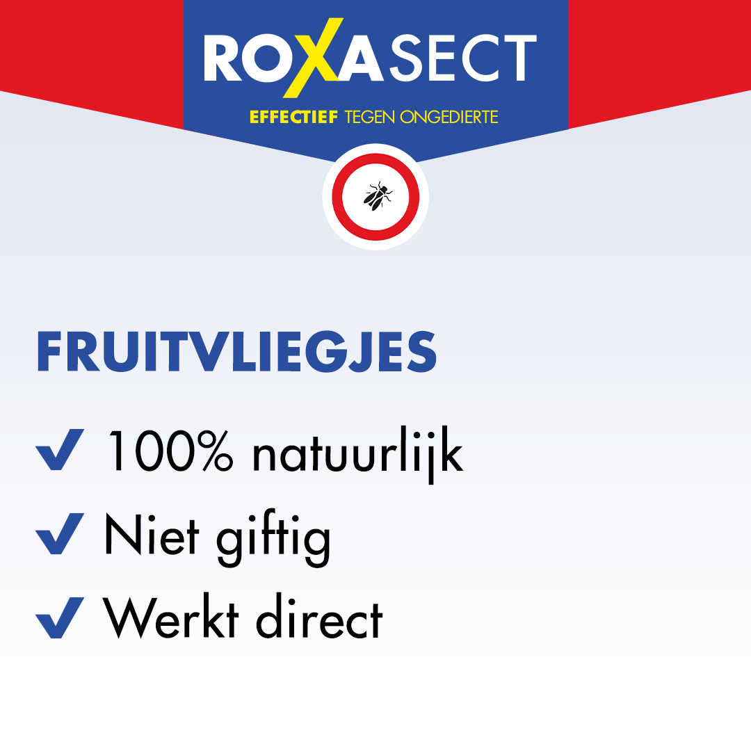 Roxasect Fruitvliegjes (1 stuk) - image 2