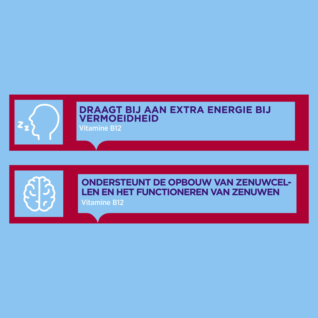 Dagravit Vitamine B12 1000mcg  (100 smelttabletten) - image 2