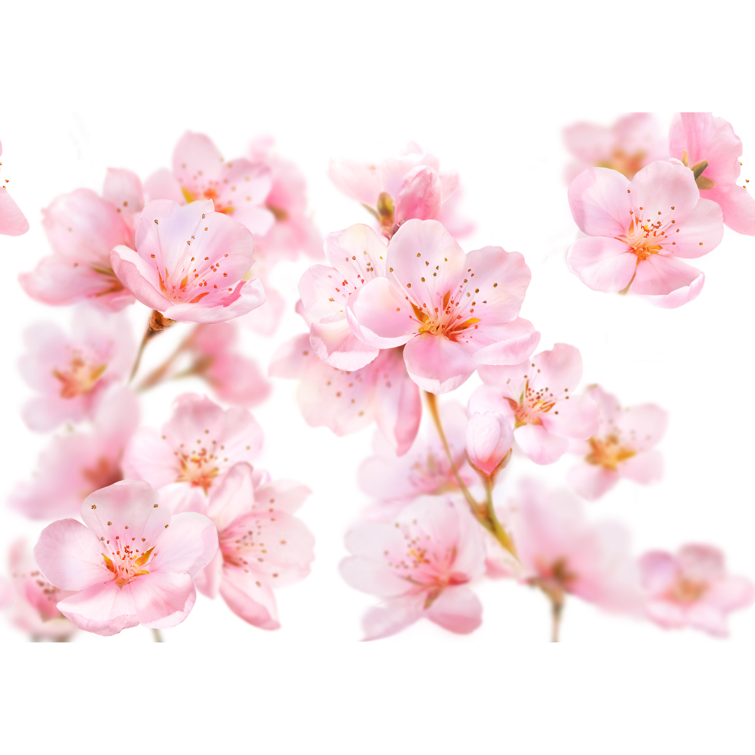 Kneipp Amandel douche mini (75 ml) - image 2