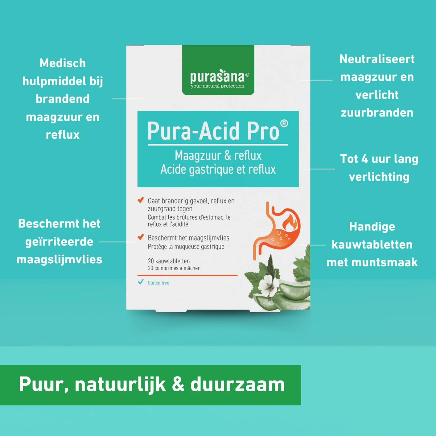 Purasana Pura-Acid Pro (20 kauwtabletten)