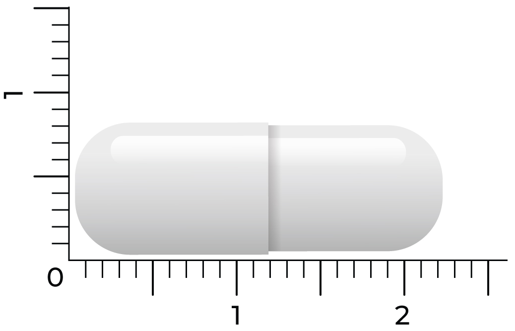 Vitakruid Acetyl-L-Carnitine 500 Mg (90 vega capsules) - image 3