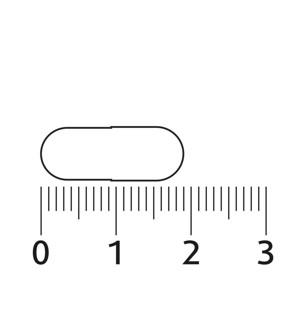 Lucovitaal Echinacea Forte+ Cat’s Claw (30 capsules) - image 4