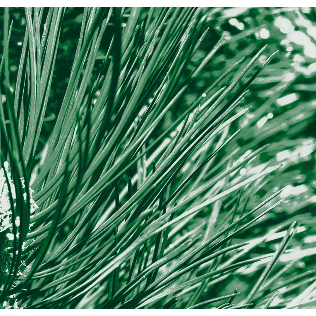 Kneipp Douche 2-in-1 nature (200 ml) - image 2