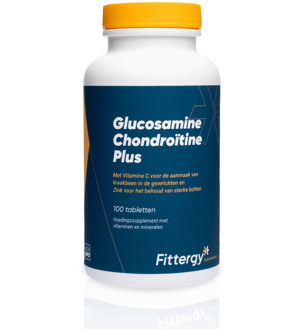 Fittergy Glucosamine Chondroitine Plus (100 tabletten)