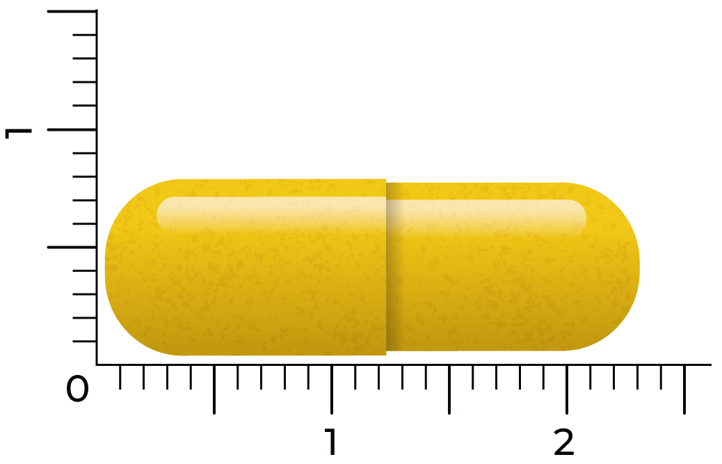 Vitakruid Berberine 500 Rebersa® 97-102% Berberine Zouten (90 vega capsules) - image 3