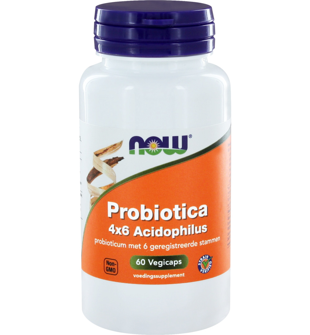 Now Biotica 4X6 Vh Probiotica (60 vega capsules)