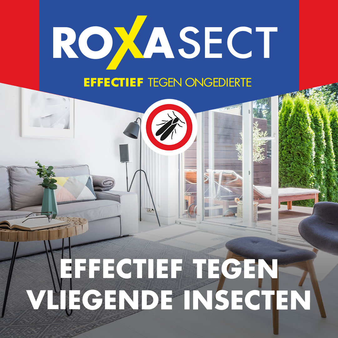 Roxasect Spuitbus vliegende insecten (400 ml)