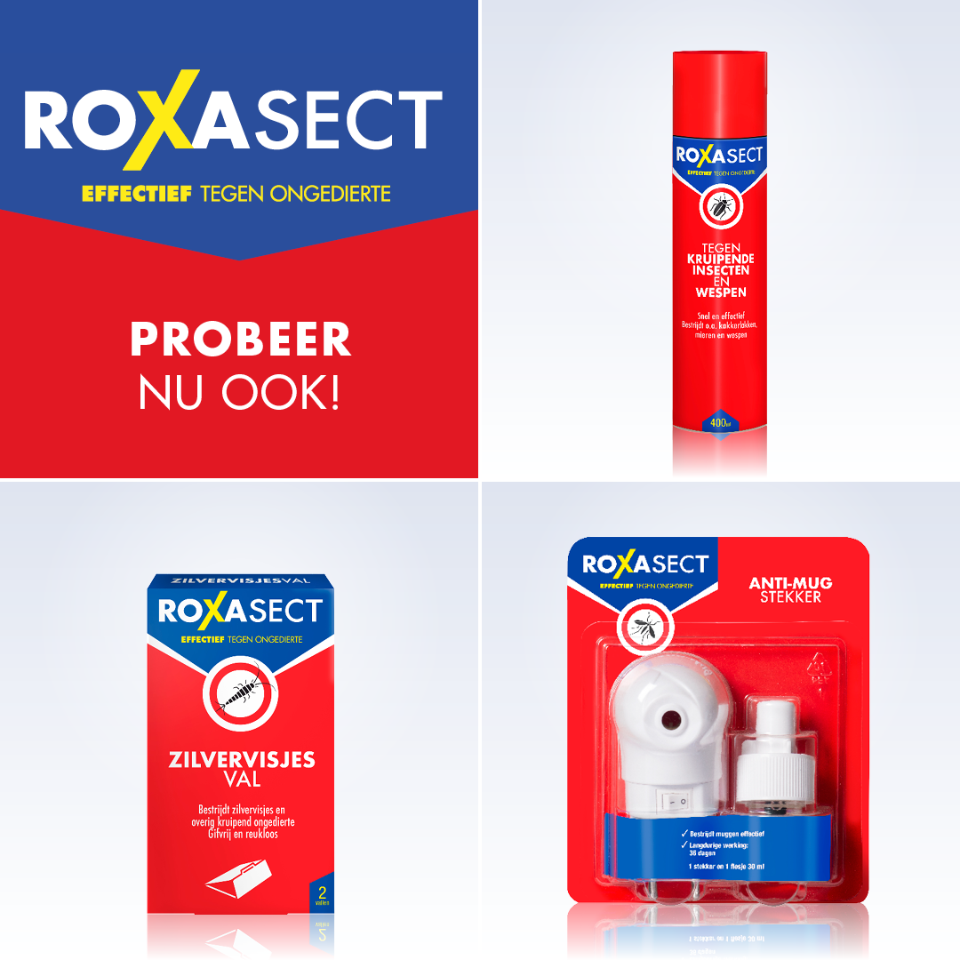 Roxasect Spuitbus vliegende insecten (400 ml) - image 5