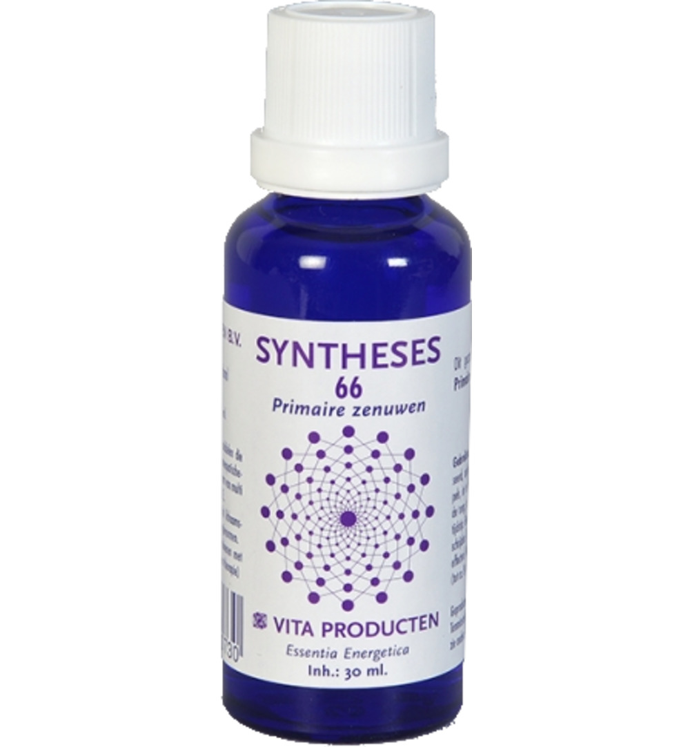 Vita Syntheses 66 primaire zenuwen (30 ml)