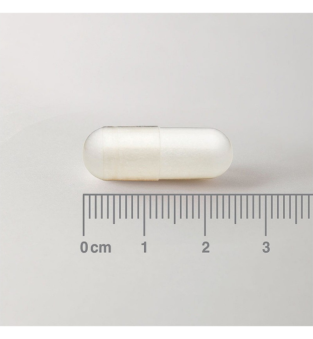 Lamberts L-Methionine 500mg (60 vega capsules) - image 2