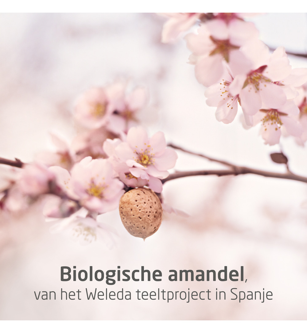 WELEDA Mama zwangerschapsolie (100 ml) - image 5