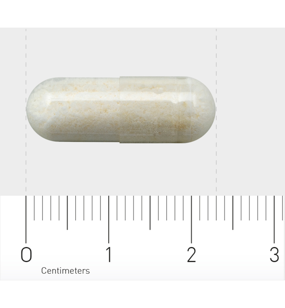 Orthica Orthiflor 50+ Senior (60 capsules) - image 3