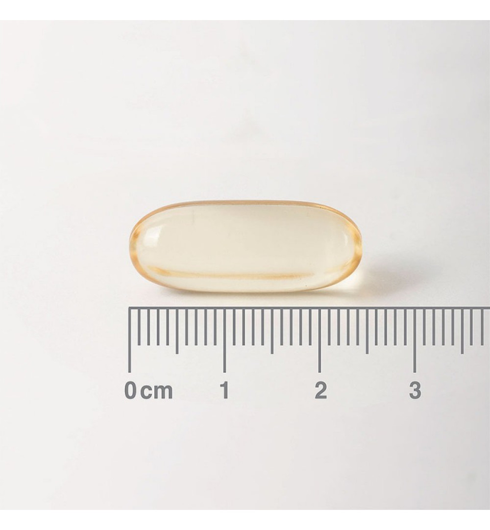 Lamberts Teunisbloem Met Borageolie 1000Mg (90 capsules) - image 2