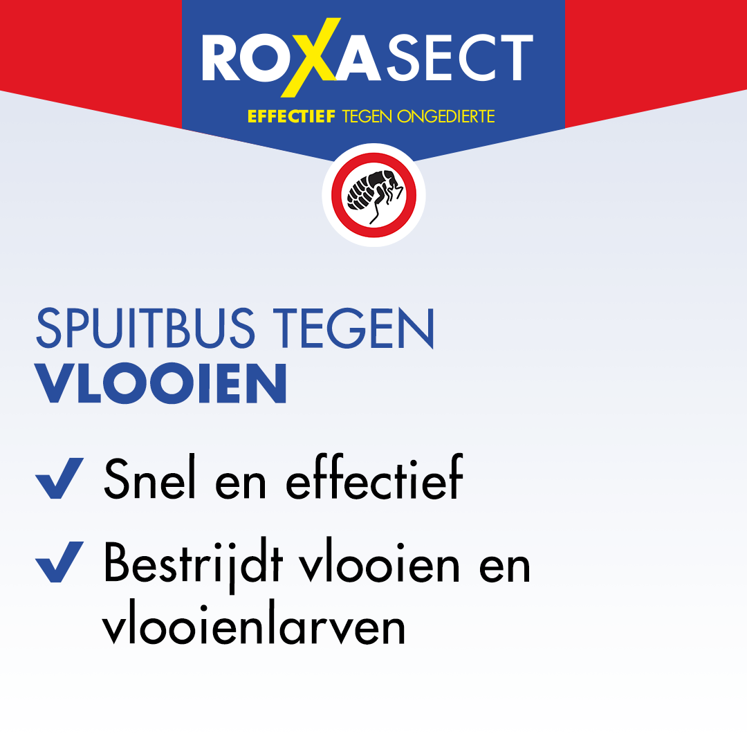 Roxasect Spuitbus tegen vlooien (300 ml) - image 2