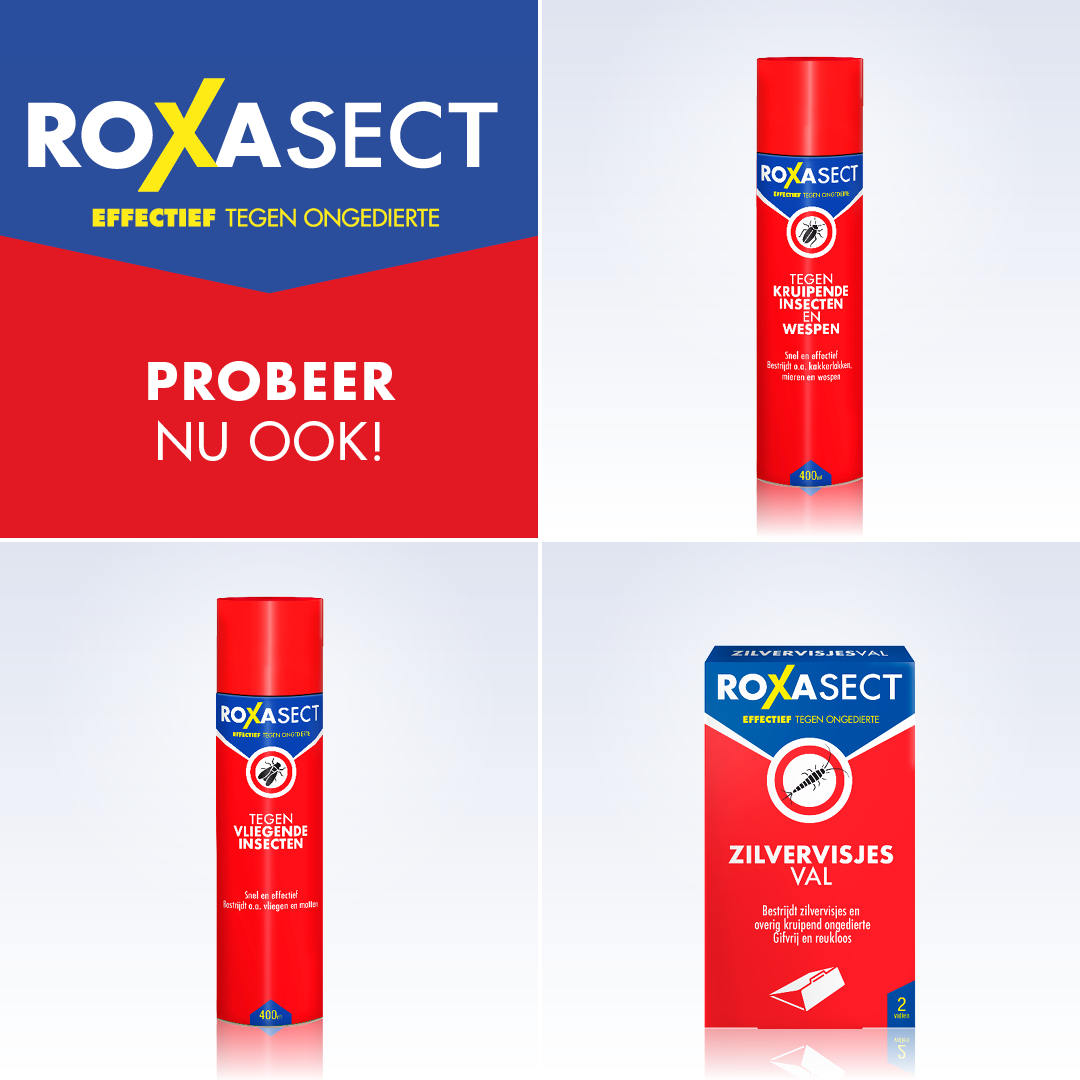 Roxasect Spuitbus tegen vlooien (300 ml) - image 5