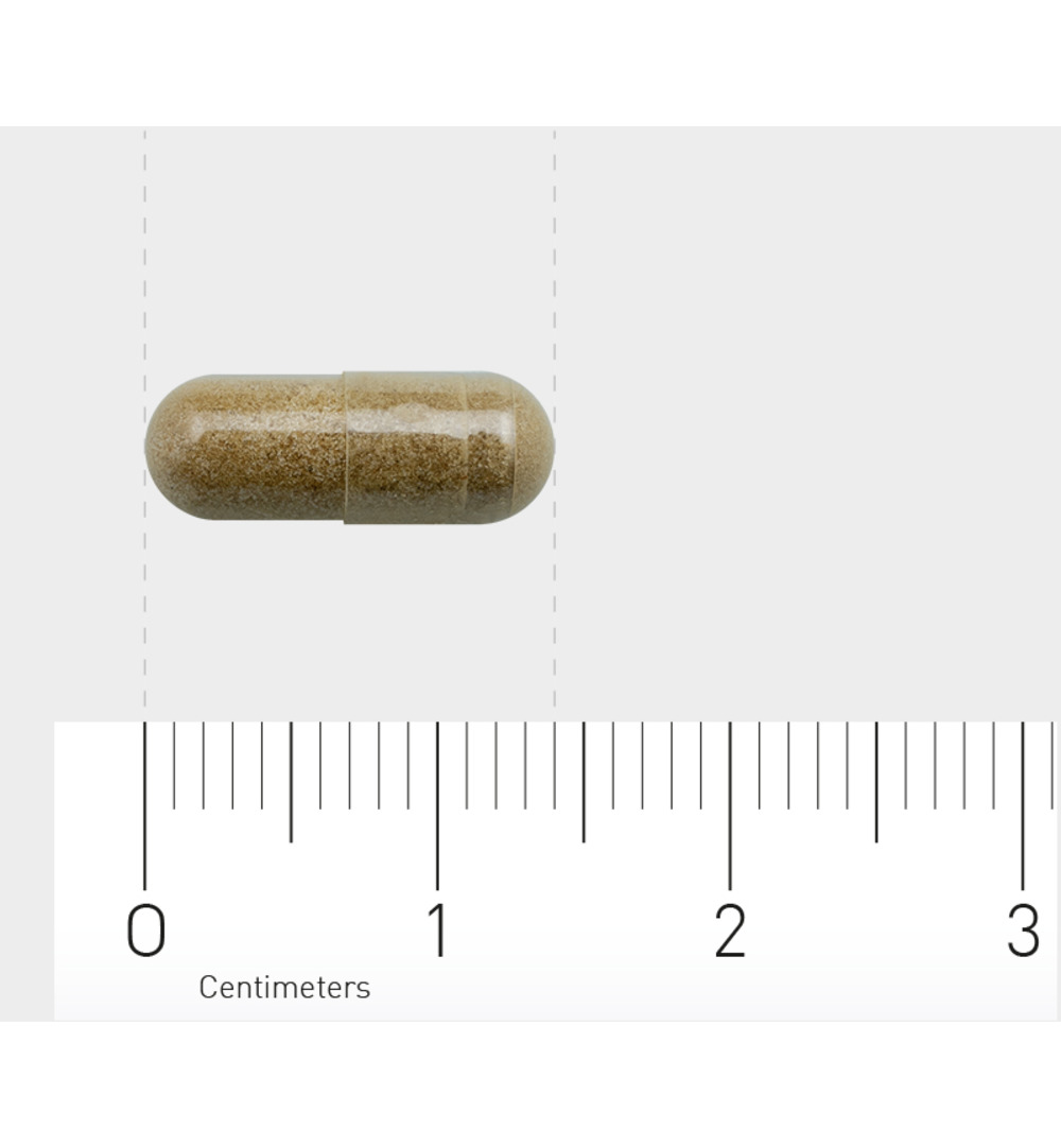 Orthica Weerstand kuur (30 capsules) - image 3