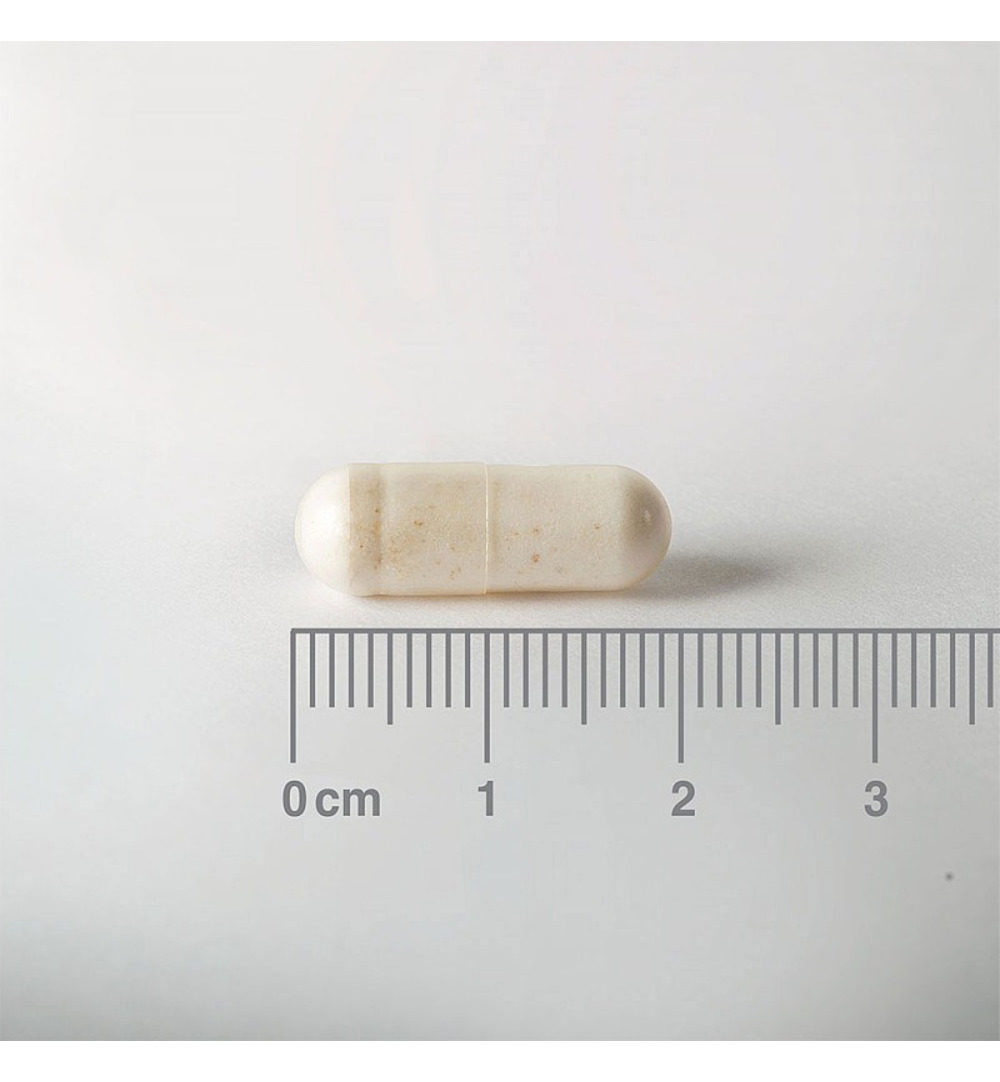 Lamberts Acidophilus Extra 10 (30 vega capsules) - image 2