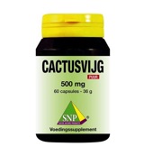 Snp Cactusvijg 500 mg puur (60 capsules)