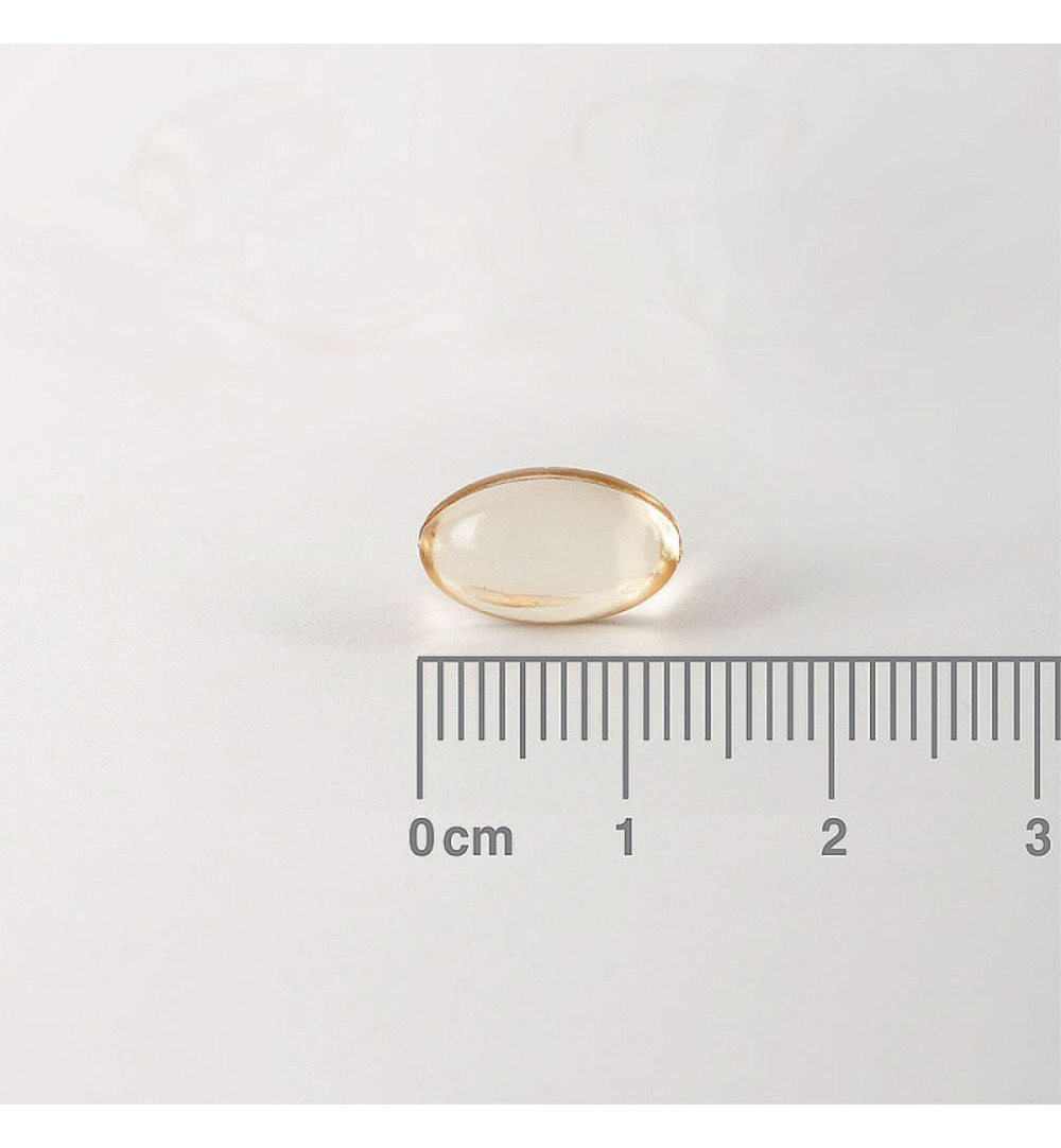 Lamberts Pepermuntolie 100mg (90 vega capsules) - image 2