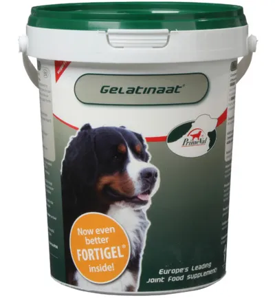 Primeval Gelatinaat Gewrichten Hond (500 gr)