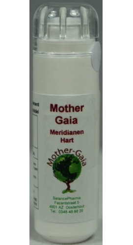 Mother Gaia Meridiaan 09 hart (6 gr)