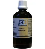 Go Betula verrucosa bio (100 ml)