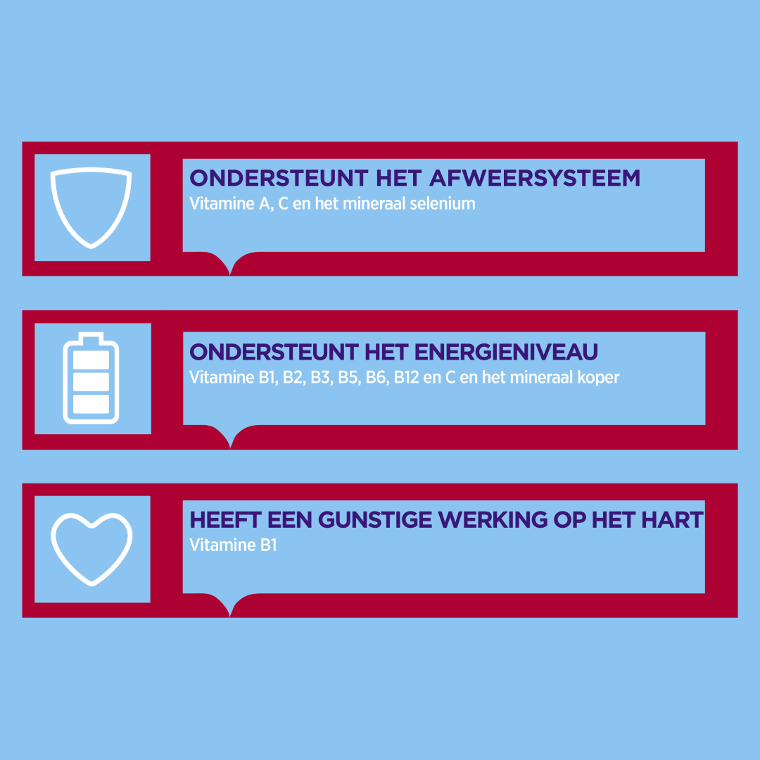 Dagravit Totaal 30 Multivitaminen (500 dragees) - image 2