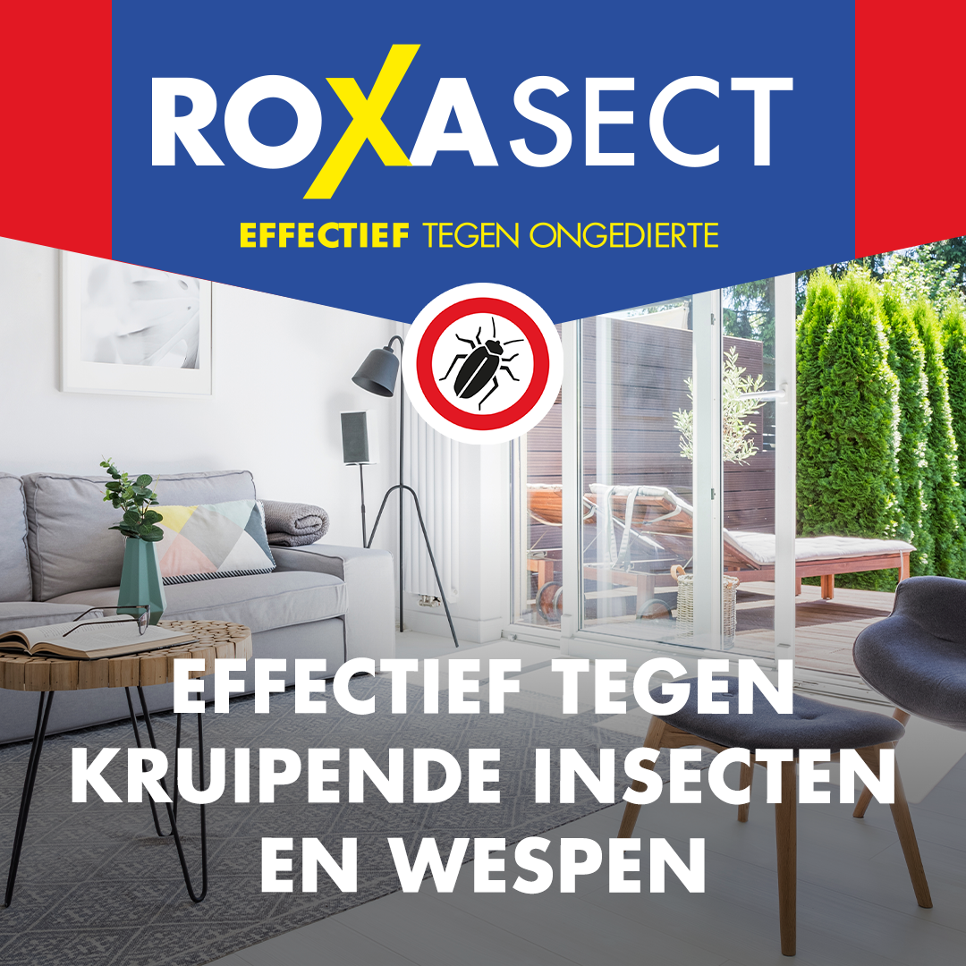 Roxasect Spuitbus tegen kruipende insecten/wespen (400 ml)