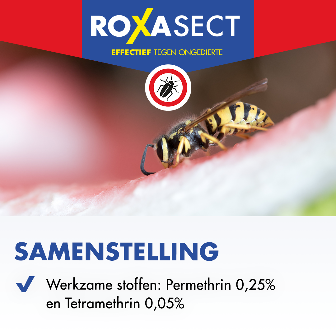 Roxasect Spuitbus tegen kruipende insecten/wespen (400 ml) - image 4