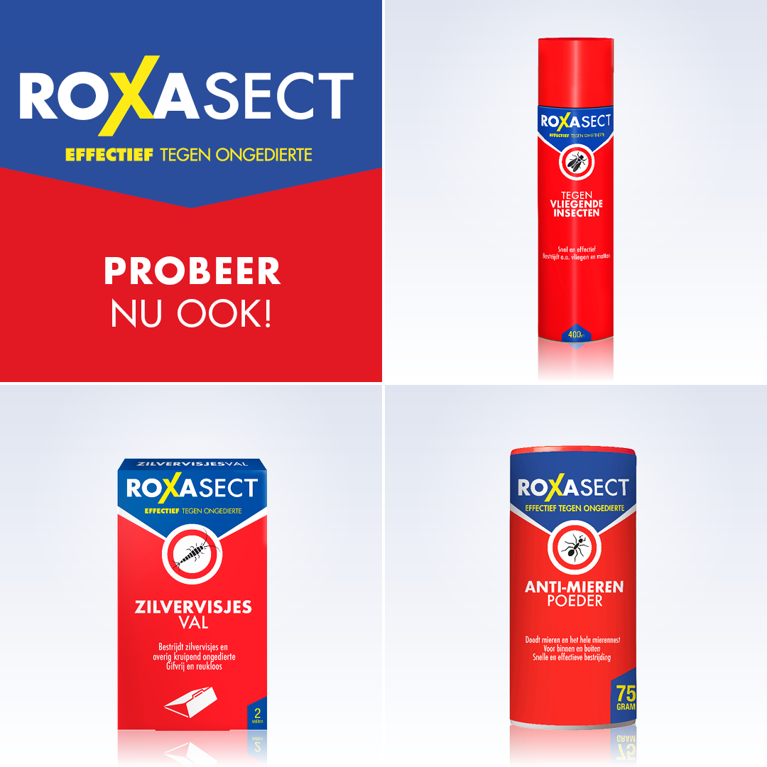 Roxasect Spuitbus tegen kruipende insecten/wespen (400 ml) - image 5