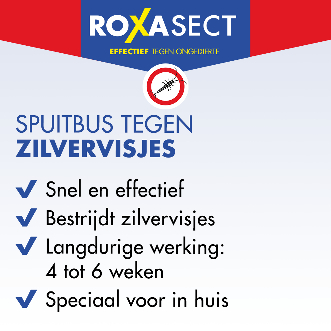 Roxasect Spuitbus tegen zilvervisjes (400 ml) - image 2