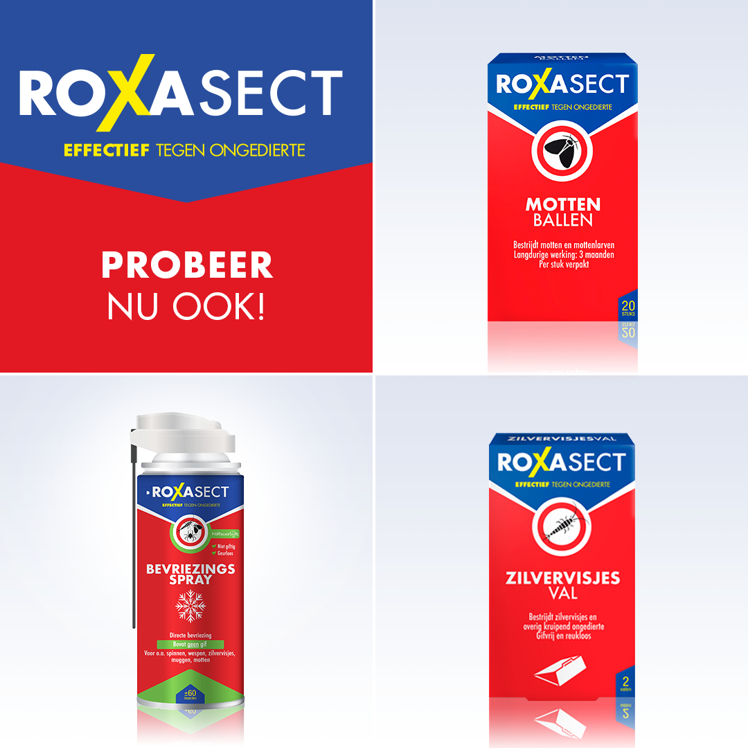 Roxasect Spuitbus tegen zilvervisjes (400 ml) - image 5